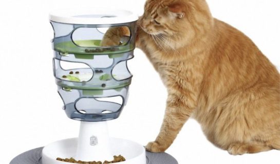 Catit Design Senses – Futter Labyrinth & Futterbaum